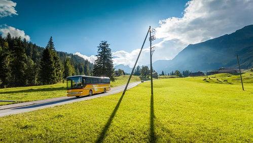 青青草国产线观